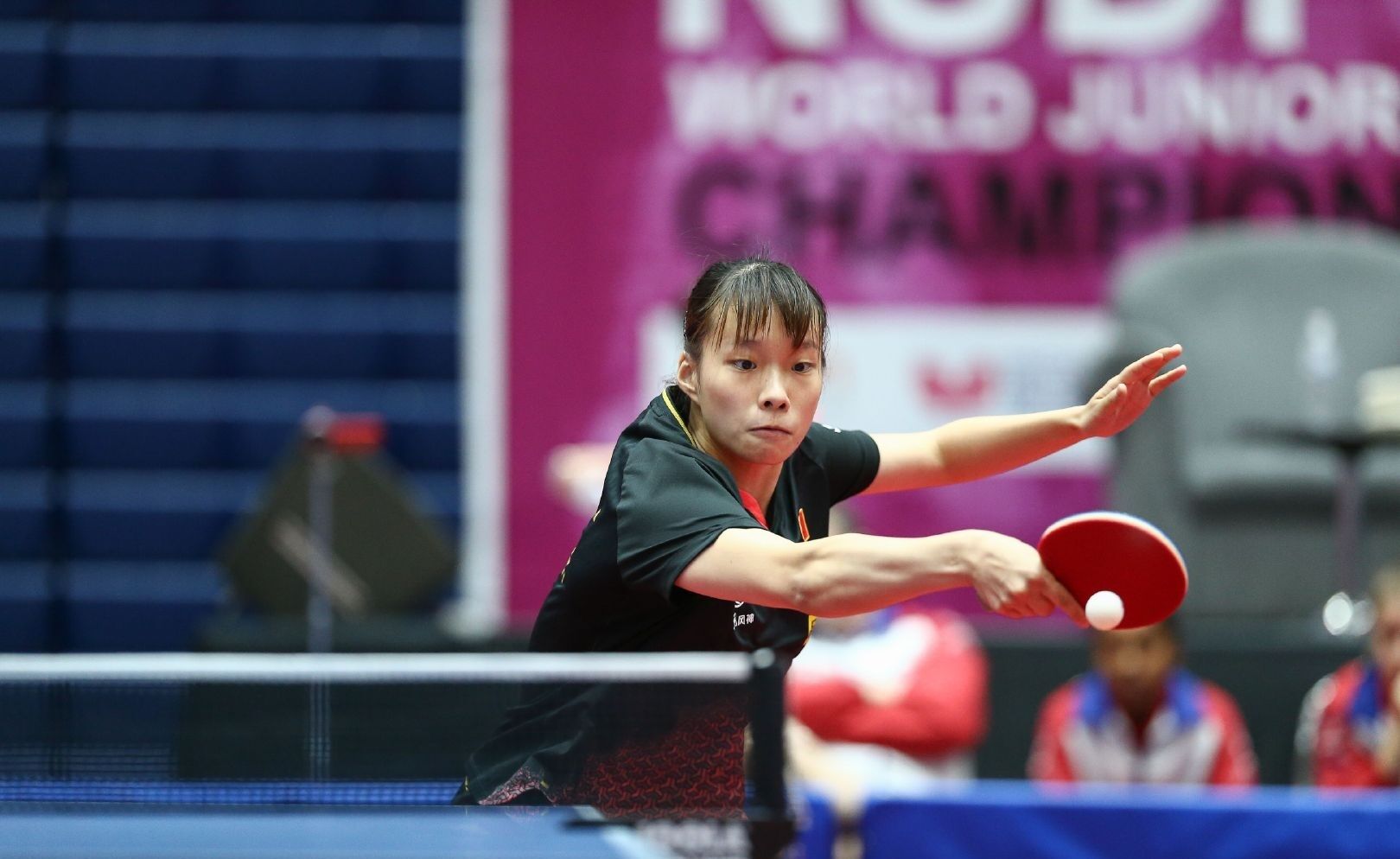 是欧洲顶尖 是欧洲顶尖