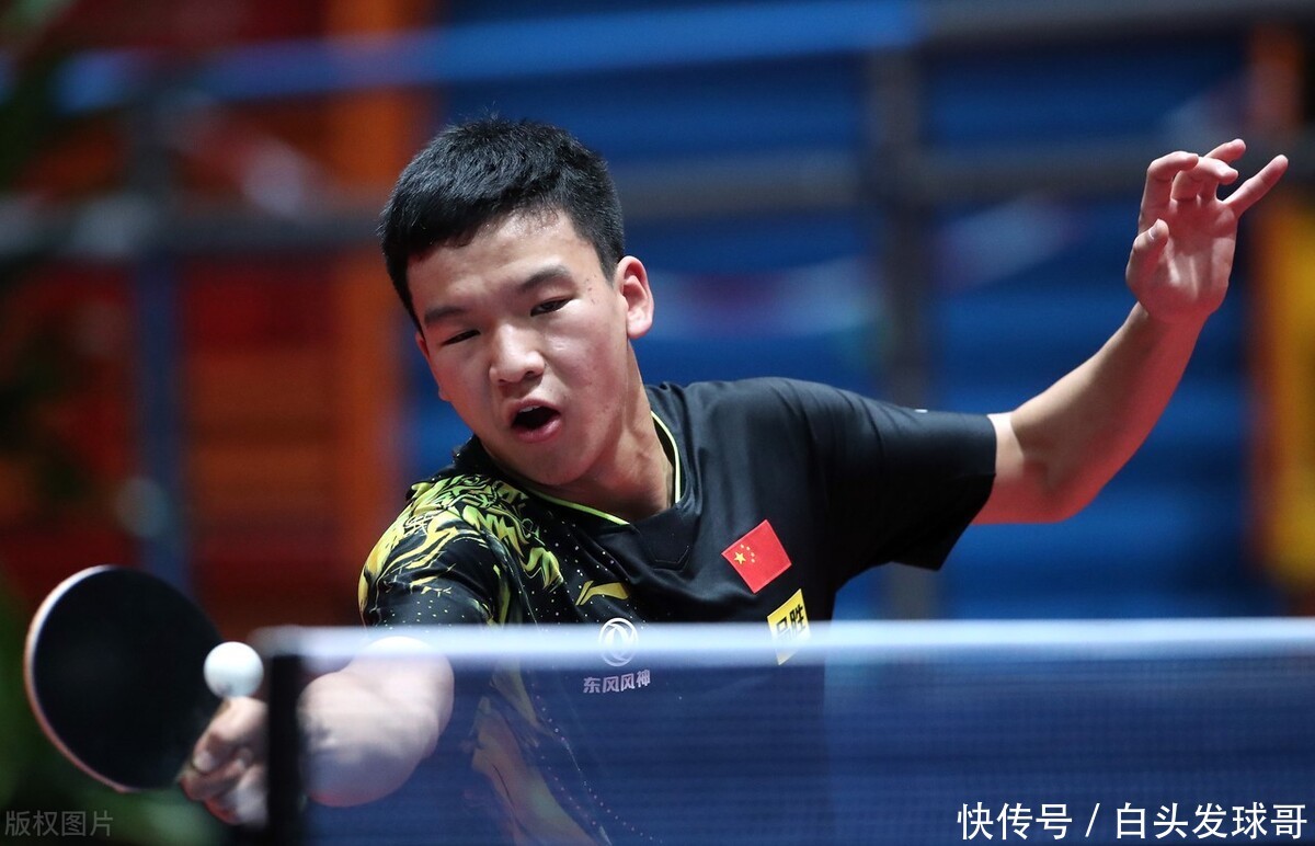 也再次印证 也再次印证