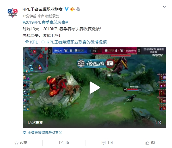 种巨大的支 种巨大的支